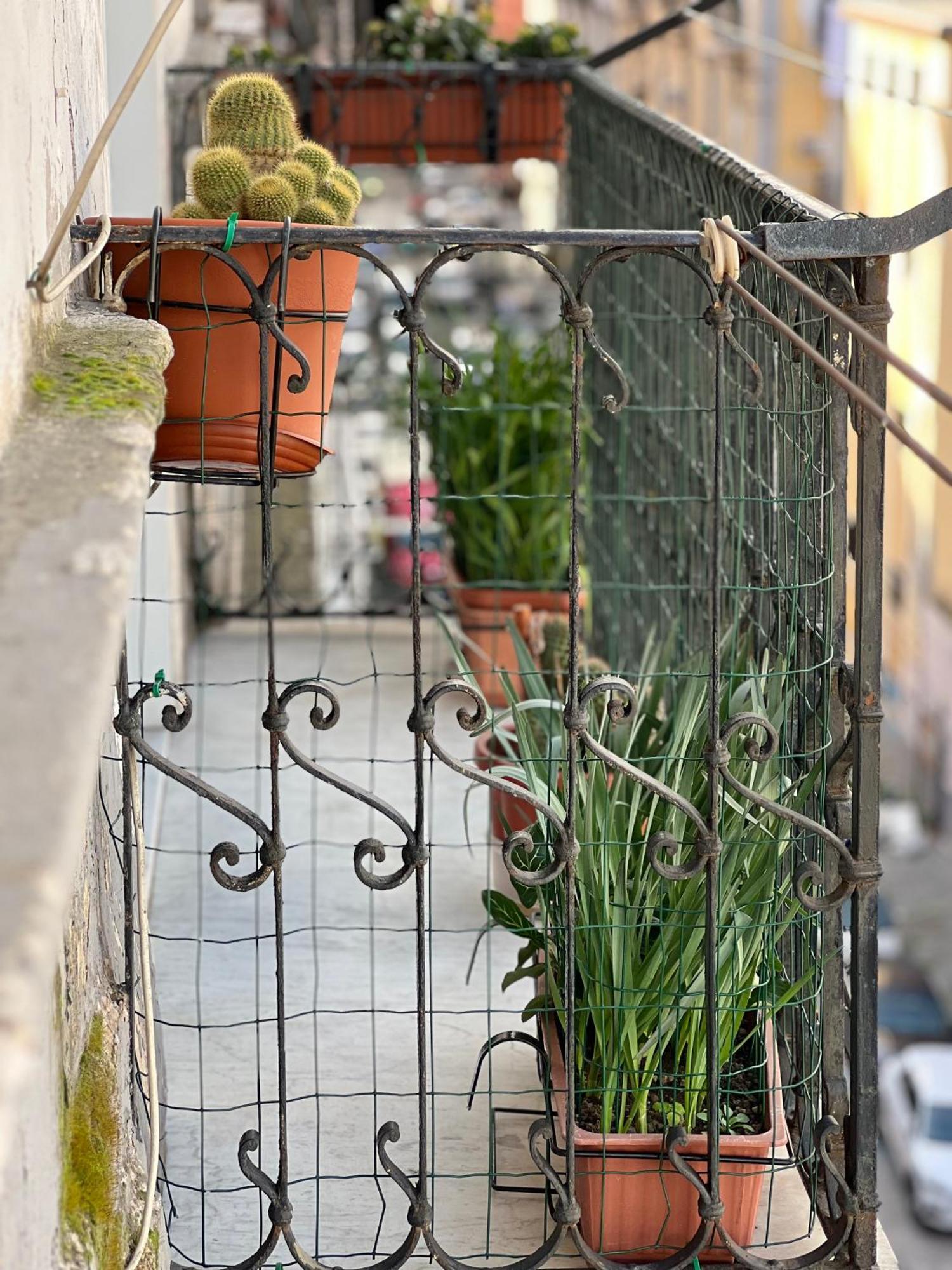 Bed and Breakfast Bruno House à Naples Extérieur photo